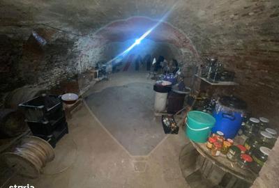Casă cu 4 camere cu Teren 2522 Mp în Brateiu - 3