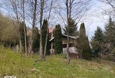 Casă cu 5 camere cu Teren 1600 Mp în Central - 1