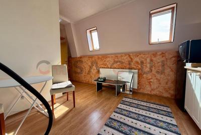 Apartament cu 2 camere decomandat, mobilat în Borhanci - 8