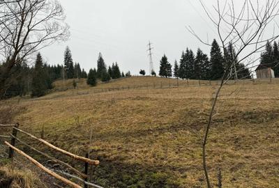 Spațiu comercial, în Central - 4