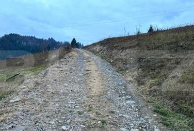 Teren de 2500 mp, în Colibița - 8