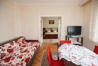 Casă cu 2 camere cu Teren 1000 Mp în Careiului - 4