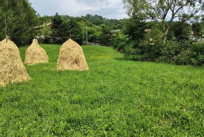 Spațiu comercial, în Galmeia - 5