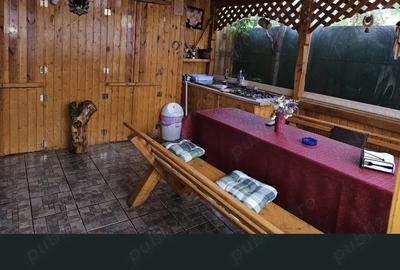 Casă cu 3 camere cu Teren 190 Mp în Central - 10
