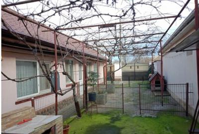 CASA PREGATITA DE MUTARE | 579 MP | VIILE NOI |