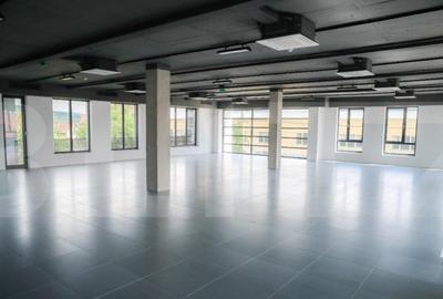 Birou ultramodern, 211 mp, prima inchiriere, zona Traian Vui - 9