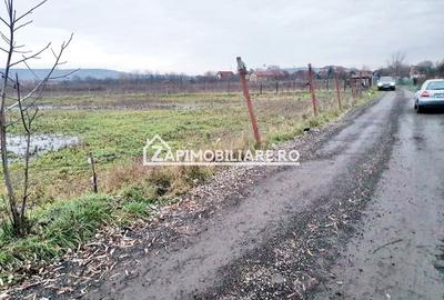 Teren 6.500 mo intravilan zona Ortoprofil - 5