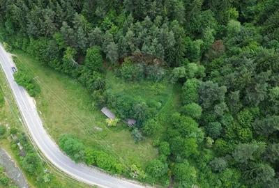 Teren spectaculols de vanzare la baza Muntelui Iezer 11.546 mp c - 3