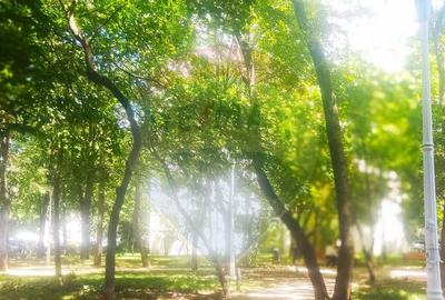 Apartament de inchiriat cu doua camere decomandate zona B... - 7