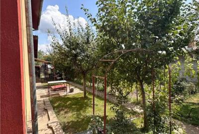 Casă cu 6 camere cu Teren 1300 Mp în Corbeanca - 12