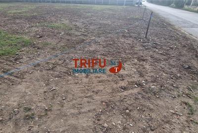 Teren cu o suprafață de 1093 mp, poziționat în zona Cetate, - 4