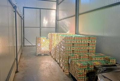 De vanzare afacere de productie Mustar de Tecuci(COMPLETA,LA CHEIE) - 4