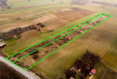 RECO Teren in Burzuc 13 041mp - 5