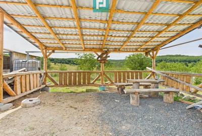 Casa renovata cu teren generos langa Ususau - 8