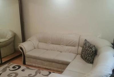 Microapartament Burdujeni - 3