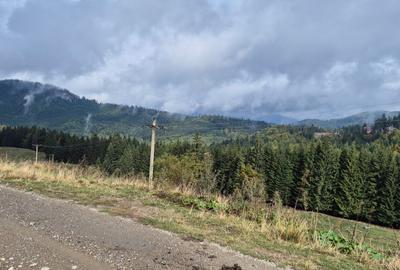 Teren deosebit in cadru de poveste langa cabana Diham, Glajerie - 6