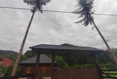 Casa de vacanta , zona Soarecului , Marginea - 13