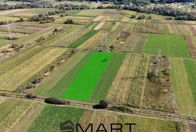 Teren de 5000 mp, în Central - 2