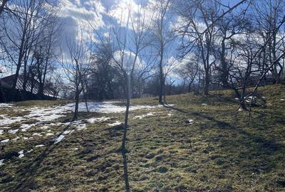 Teren de 2500 mp, în Talea - 4