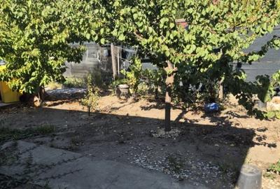 Domnesti, zona Craitei-Foisorului, casa individuala parter - 6