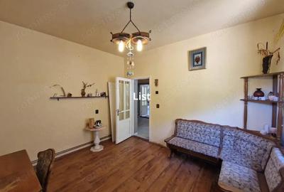 Casă cu 4 camere cu Teren 3215 Mp în Băița - 7