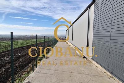 Hala de vanzare in Racari de Jos - 13