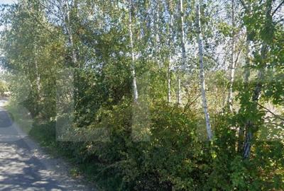 EXCLUSIVITATE! Teren intravilan, constructii, 990 mp, Rasca! - 5