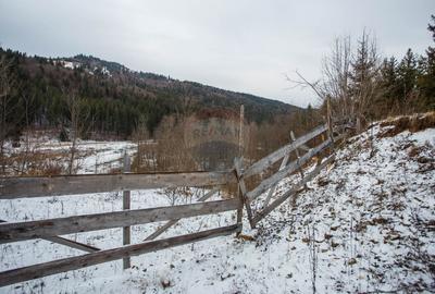 Teren intravilan de 49000 mp, în Borca - 5