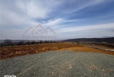 Teren de 3000 mp, în Coaș - 4