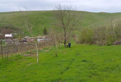 Teren de 10639 mp, în Central - 1