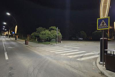Teren de 500 mp, în Betfia - 2