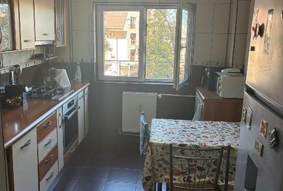 Izvorul Rece Drumul Gazarului 4 camere - 8