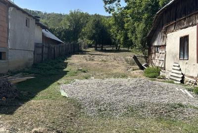 Casă cu 4 camere în Radu Negru - 10