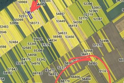 Spațiu comercial, în Buftea - 3