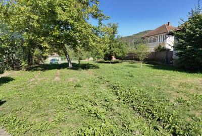 Casa vacanta,investitie  in Gurahont cu teren generos - 23