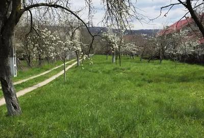 Teren de 1048 mp, în Vlădești - 3