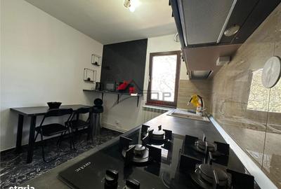 Apartament cu 3 camere decomandat în Podu Roș - 12