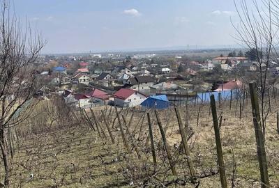 Teren de 940 mp, în Nord-Est - 1