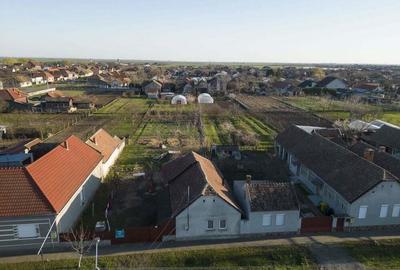 Teren in Curtici, Jud.Arad - 6