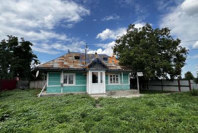 Casă cu 3500 mp teren, Sat Miron Costin - Brănișteni (str. Macilor) - 12