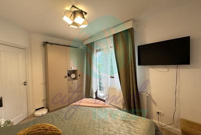Apartament in vila la ' POALELE MUNTILOR' - 17