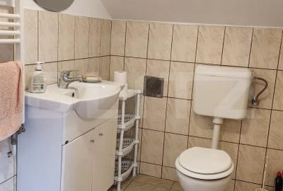Casa de locuit cu spatiu comercial - venit pasiv lunar, cu preluare de chiriasi - 14