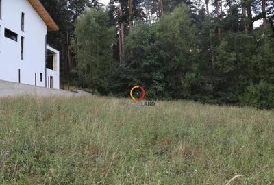 Teren de 1195 mp, în Poiana Angelescu