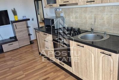 Apartament cu 2 camere semidecomandat, mobilat în Șagului