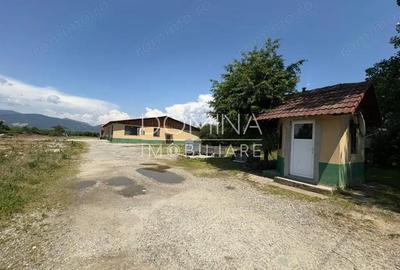 Vanzare complex industrial *hala 682 mp + teren 2,5 ha* - Tetila - 5