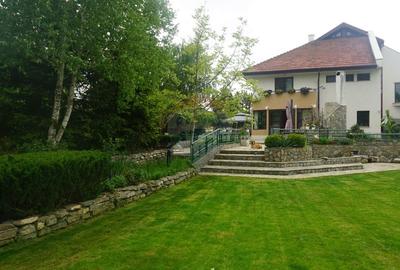 Vanzare vila cu D+P+Et +M, intravilan 1670 mp, Saftica - 50