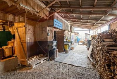 Casa cu 3 camere - str Ortodoxa - 4