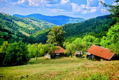 CASA TRADITIONALA, ANEXE si 46.980 mp teren partial INTRAVILAN BULZ - BIHOR - 1