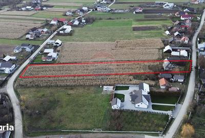 Casă cu 3 camere cu Teren 6100 Mp în Frătăuții Noi - 10