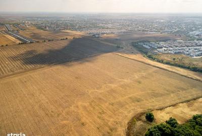Teren de 16500 mp, în Tunari - 18